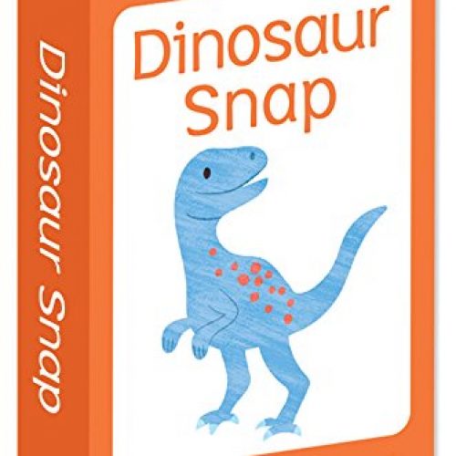 Little Genius Flashcards Dinosaur Snap